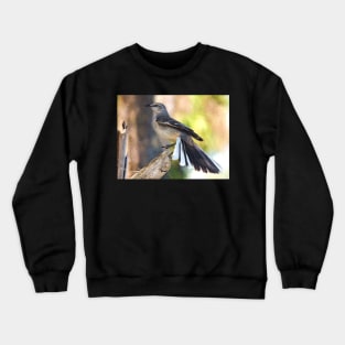 Show Off Crewneck Sweatshirt